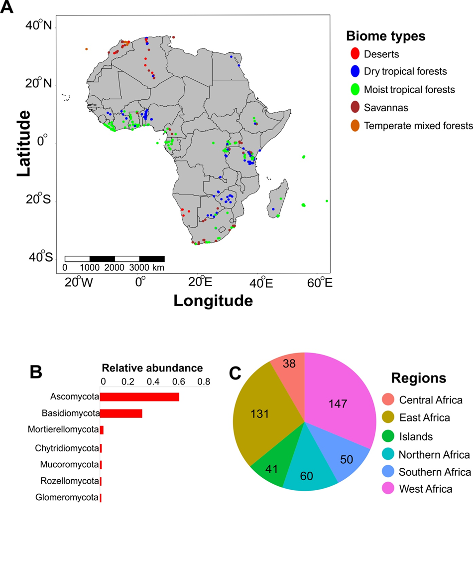 Continental-scale diversity of African soil fungi